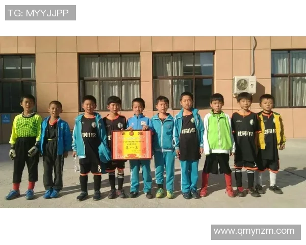 南京足球队心理素质排名第五揭秘球队背后的心理训练与战术思维